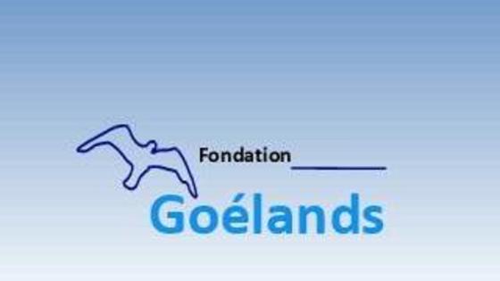 Logo de la Fondation Goélands